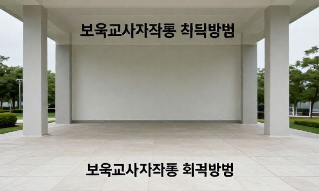보육교사자격증취득방법 관련 이미지 - 보육교사자격증취득방법: 학력별 단계별 완벽 가이드